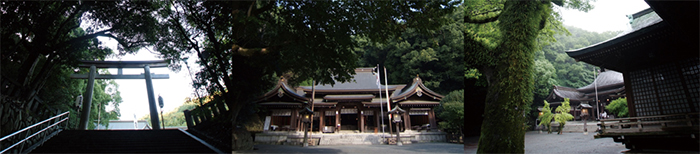 高見神社の御由緒